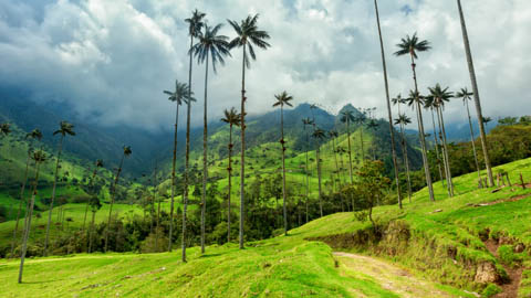KOLUMBIA