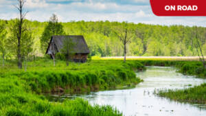 PODLASKIE - przez pradawną puszczę i lasy z wizytą u Tatarów Polskich