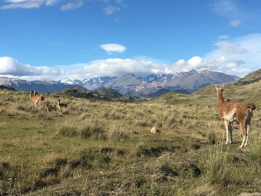 Carretera Austral Chile