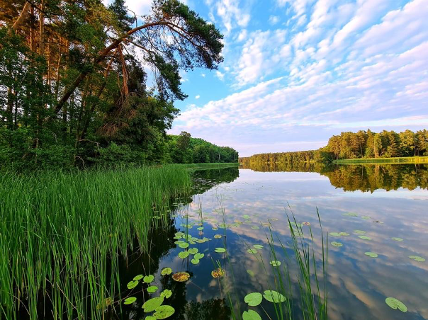 Polish lakes