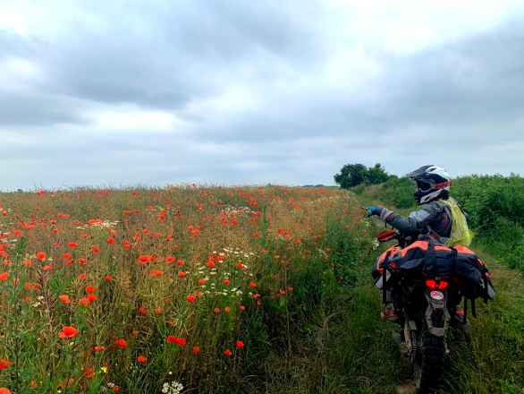 TET Poland fields poppy seeds KTM 690