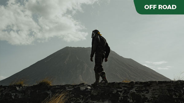 TANZANIA – Kilimandżaro, Ngorongoro i Król Lew. Hakuna Matata!