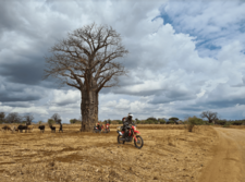 Visit to the Masai village in Tanania