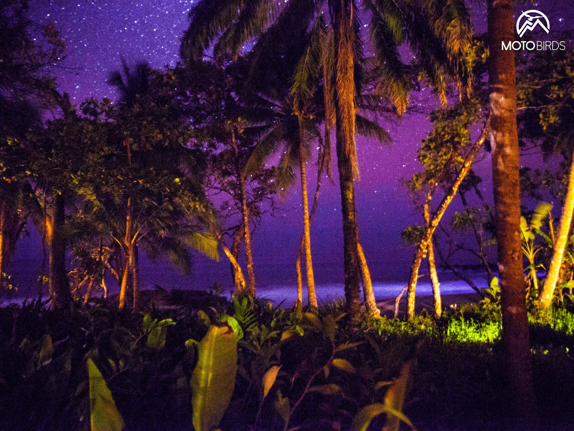 Montezuma beach by night