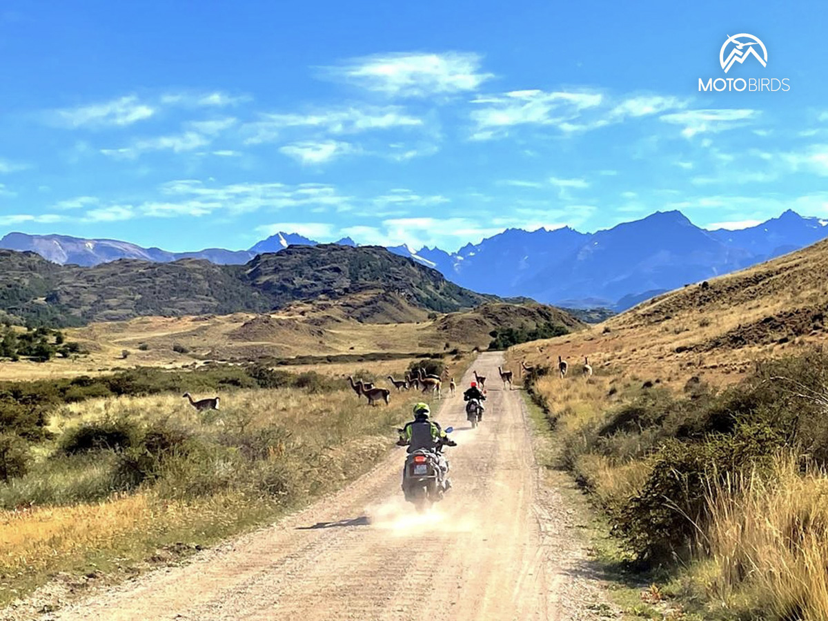 Chile by MotoBirds