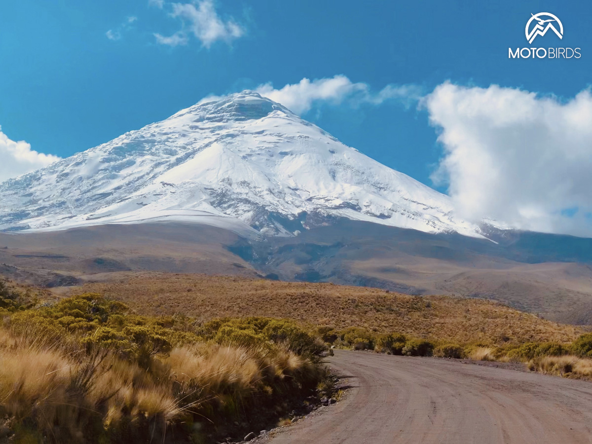 Ecuador by MotoBirds