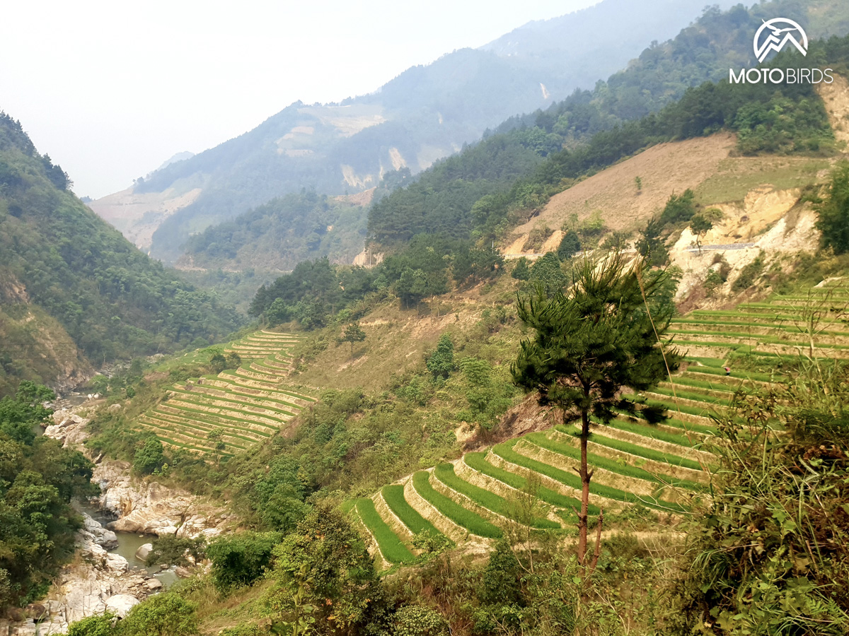 Vietnam by MotoBirds