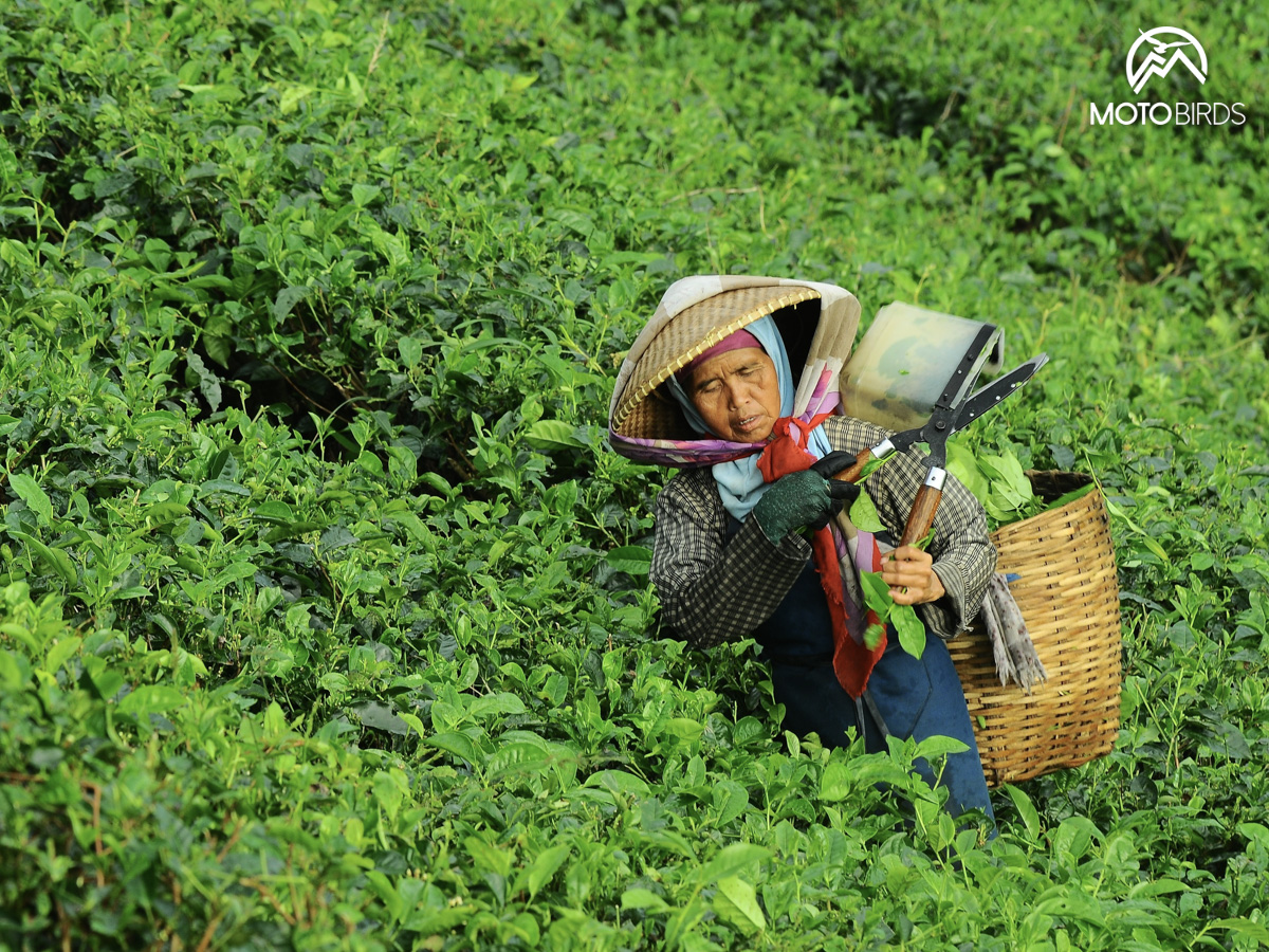 Vietnam by MotoBirds