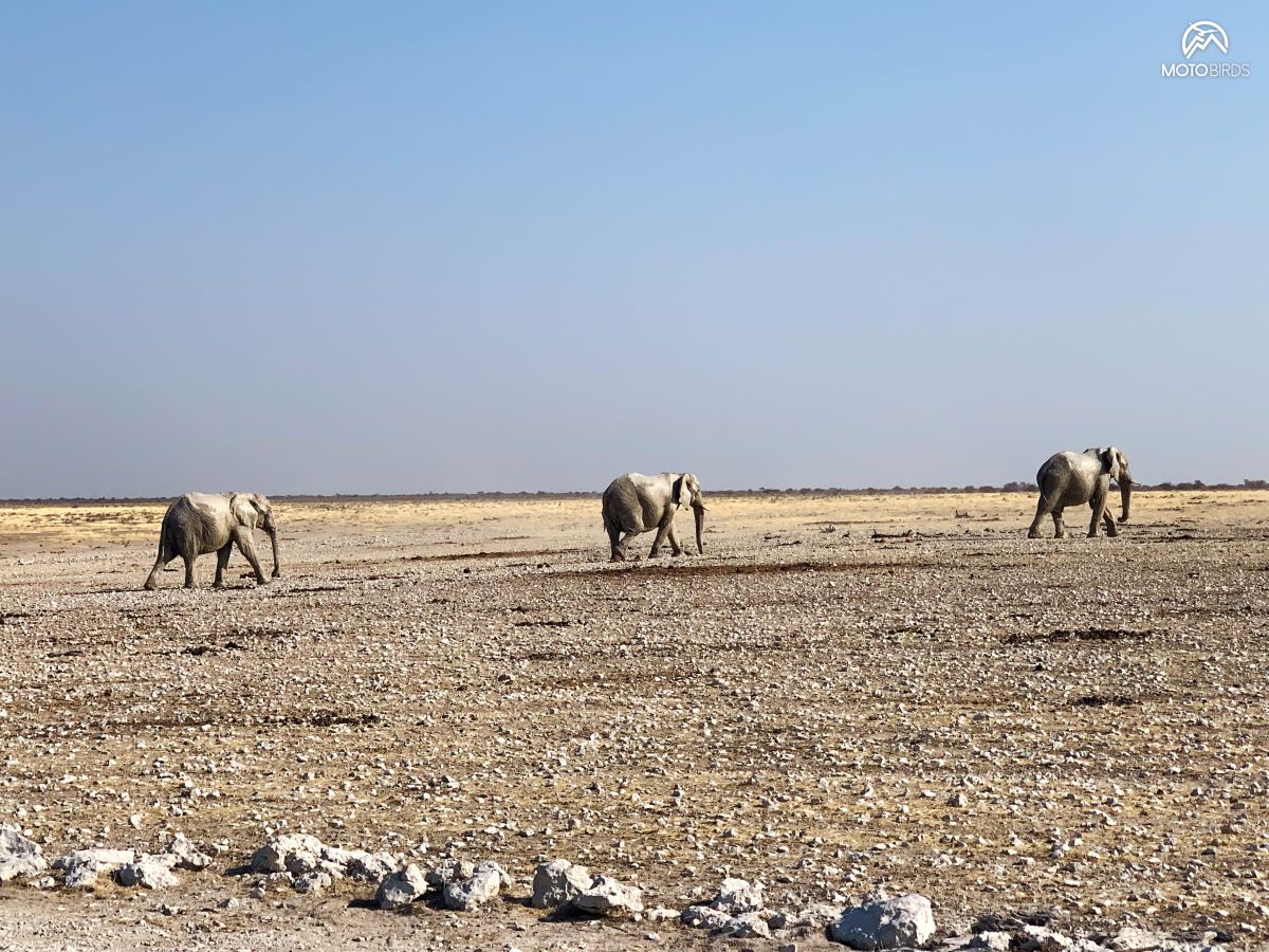 Namibia by MotoBirds