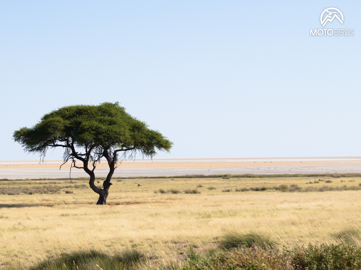 Namibia by MotoBirds