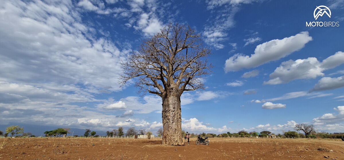 Tanzania with MotoBirds