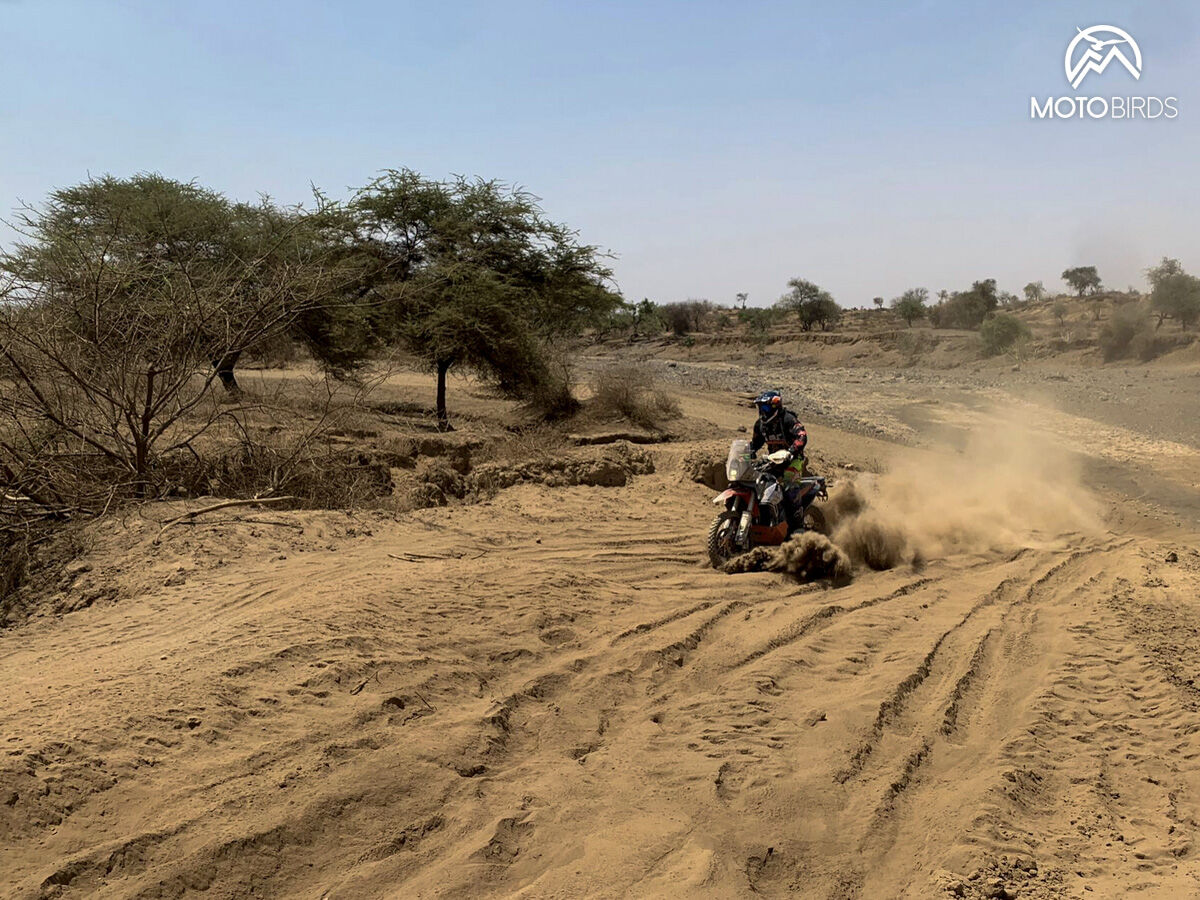 Tanzania with MotoBirds