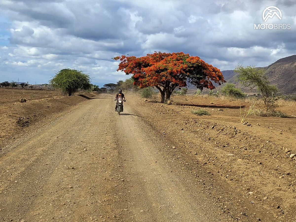 Tanzania with MotoBirds