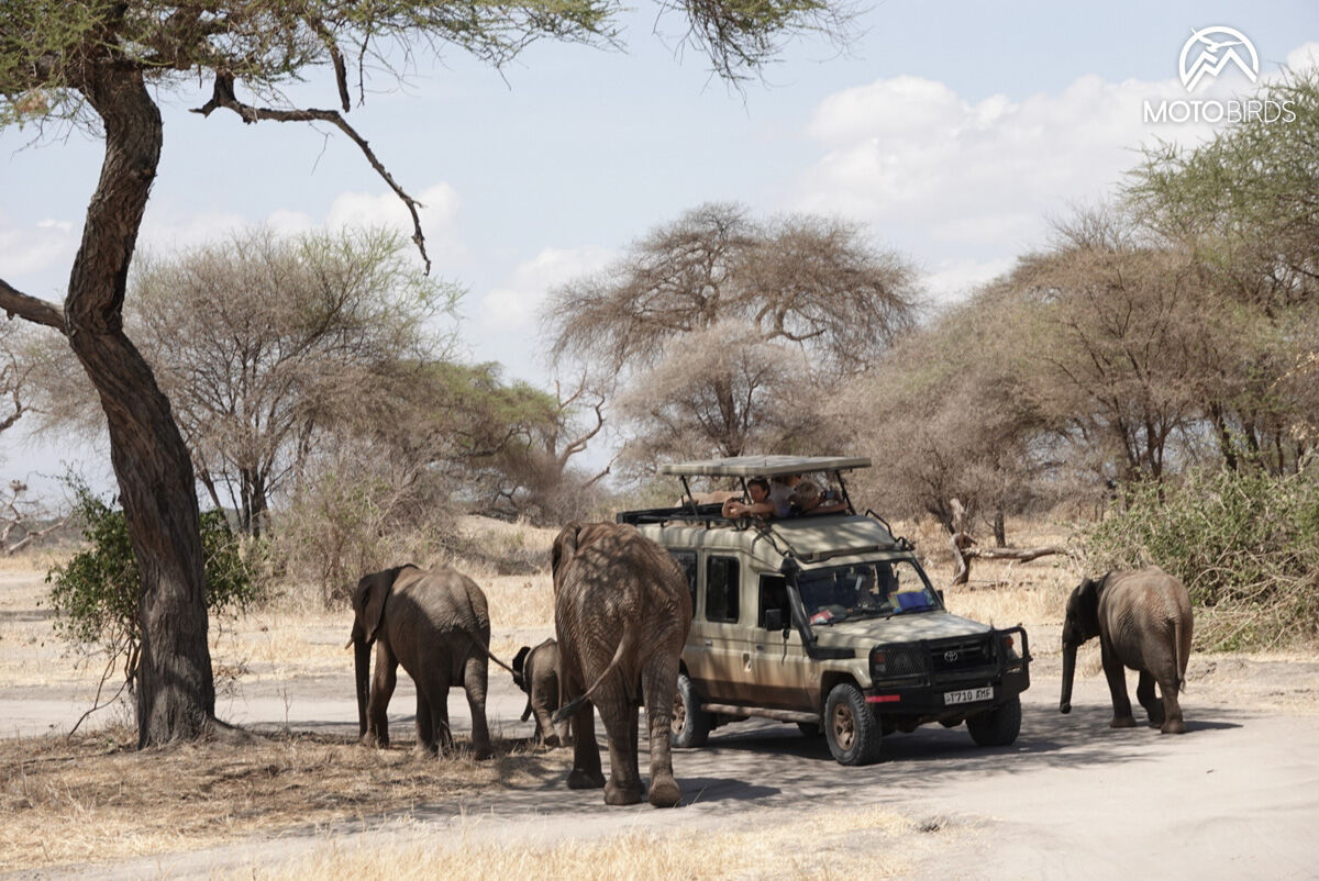 Tanzania with MotoBirds