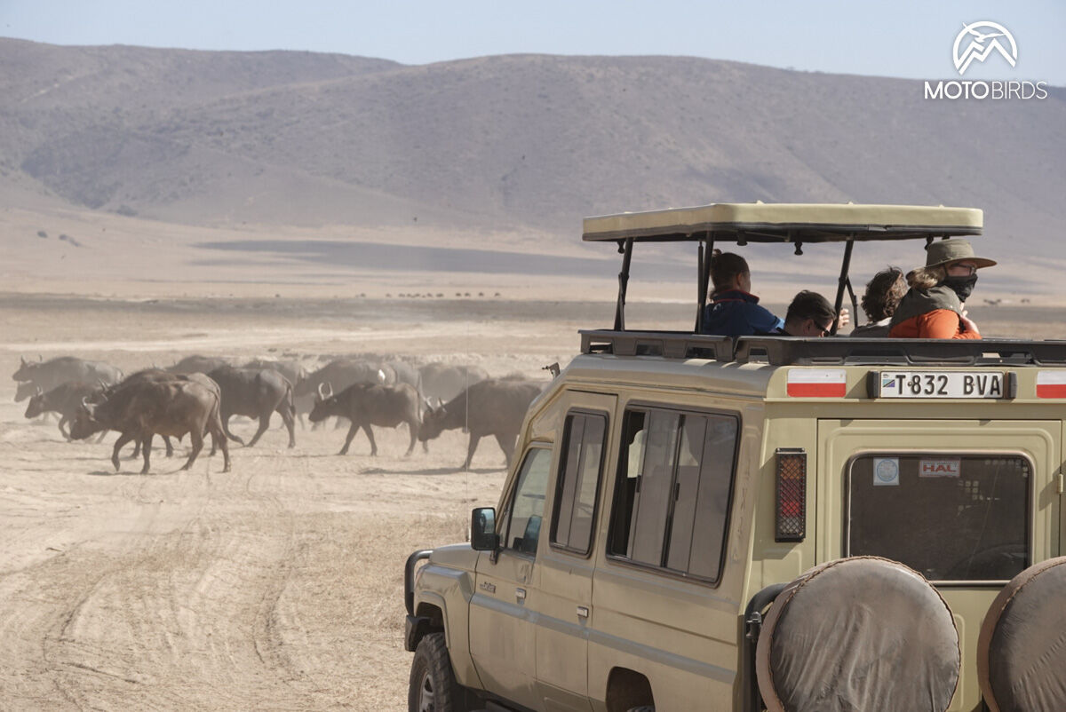 Tanzania with MotoBirds