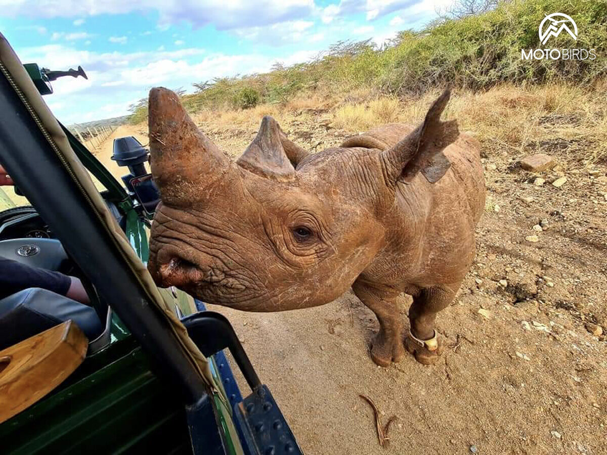 Tanzania with MotoBirds