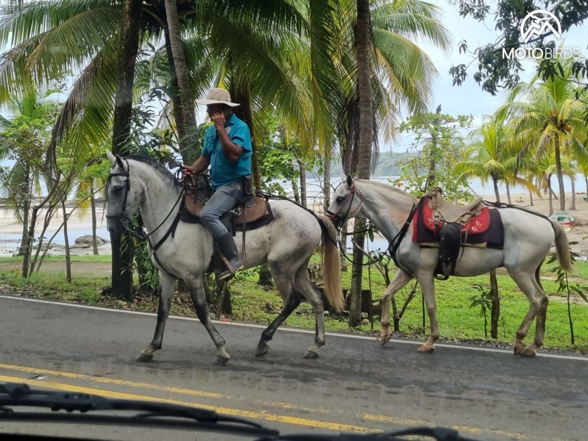 Costa Rica with MotoBirds