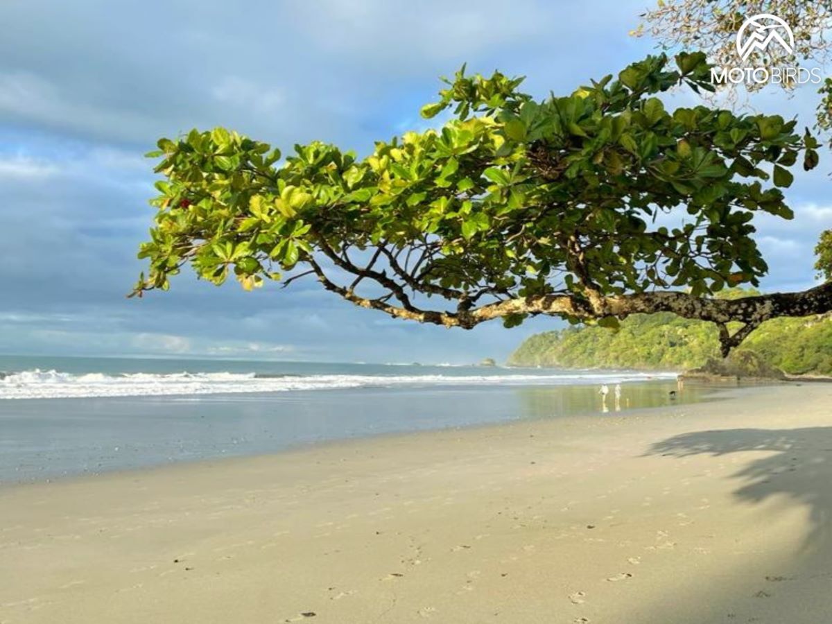 Costa Rica with MotoBirds