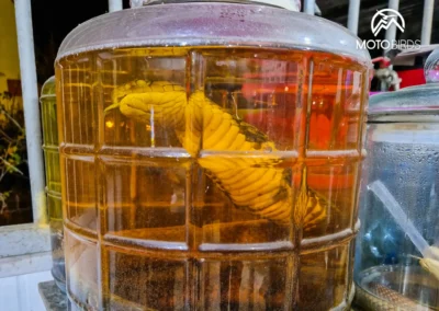 Snake-home-made-syrup-_-Wężówka