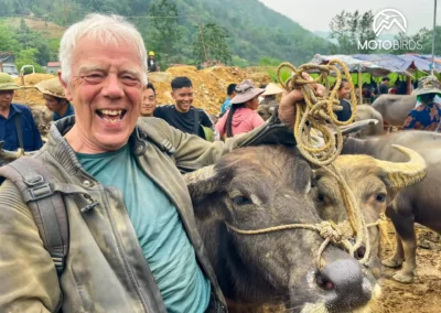 Water Buffalo Market Vietnam