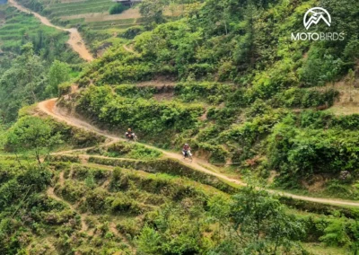 Rice fields in the North Vietnam