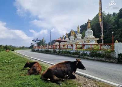 BHUTAN 10.2024 MOTORCYCLE TOUR