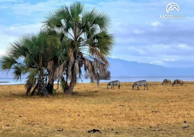 Motorbike tours in Tanzania with MotoBirds