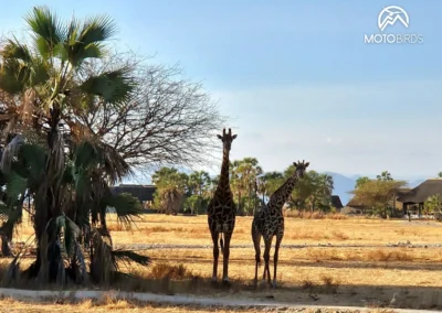 Motorbike tours in Tanzania with MotoBirds