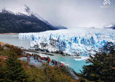 Patagonia BY MOTOBIRDS 12.2023 WOMEN ONLY