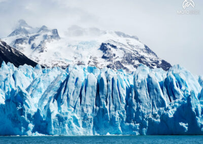 Patagonia BY MOTOBIRDS 12.2023 WOMEN ONLY