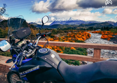 Patagonia BY MOTOBIRDS 12.2023 WOMEN ONLY