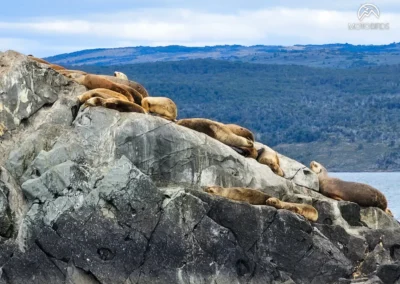 Patagonia 2024/2025 – A motorcycle tour to the end of the world - MOTOBIRDS