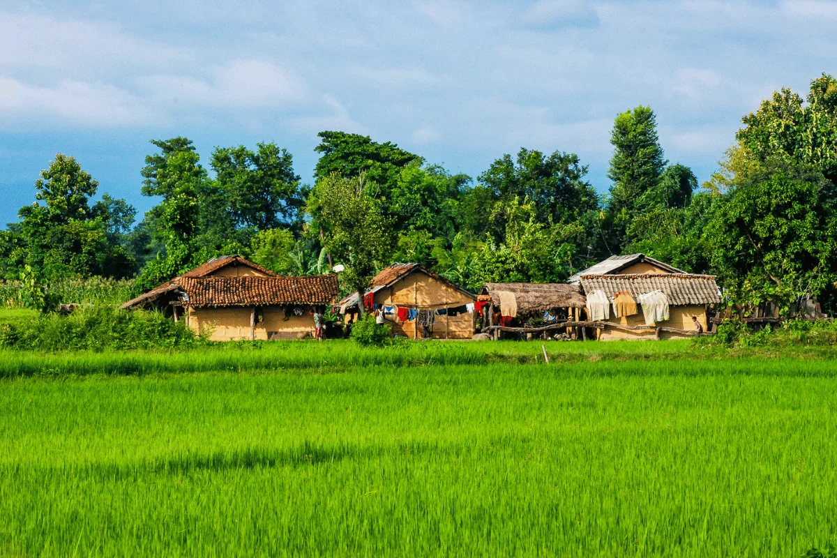 BARDIA NATIONAL PARK BARDIA NATIONAL PARK