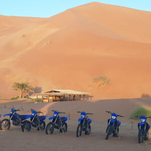 OMAN: INTO THE EMPTY QUARTER  5→12.02.2026