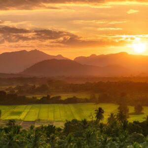 Z CHIANG MAI DO ZŁOTEGO TRÓJKĄTA 7.12→17.12.2026