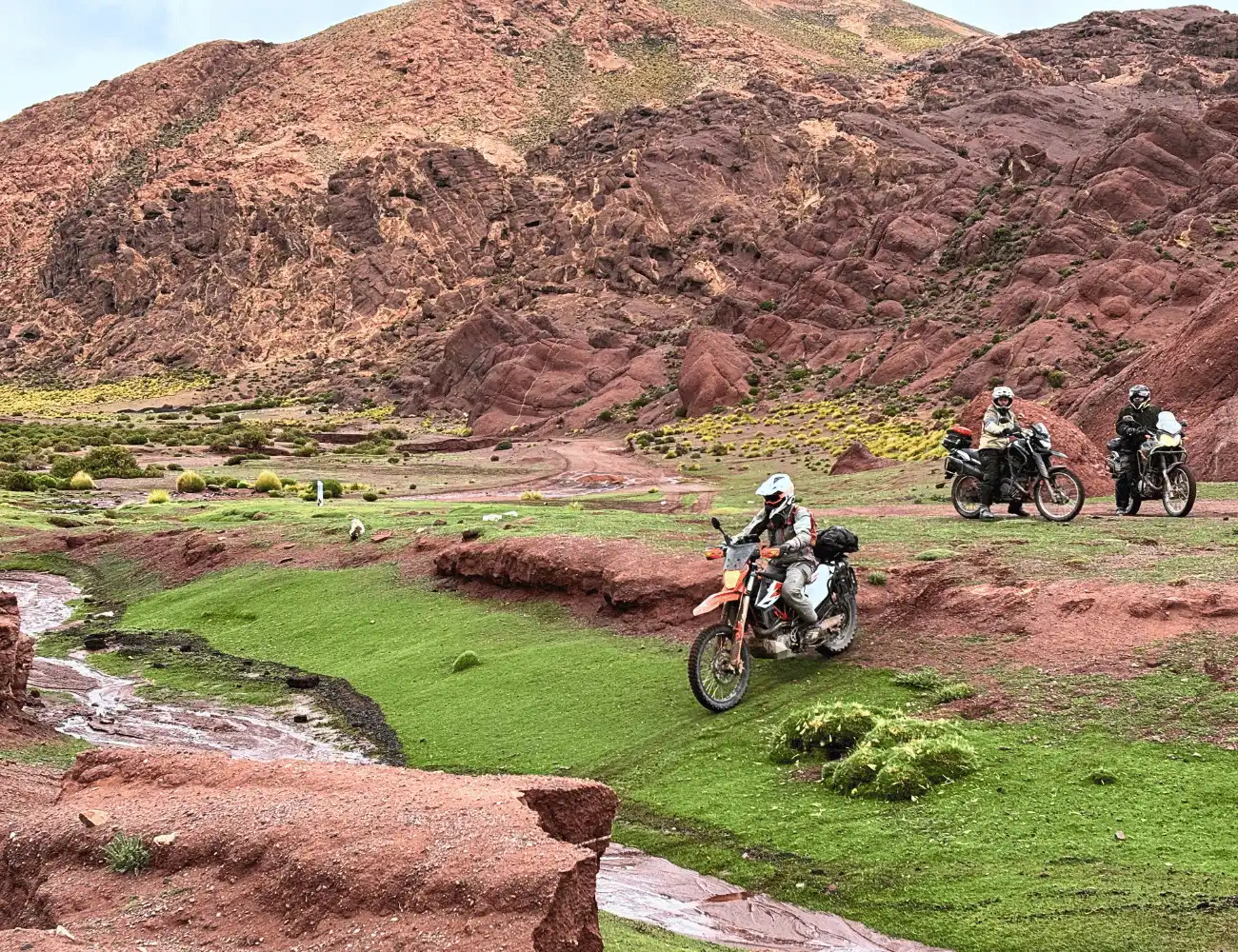 subtropikalne okolice Parku Narodowego Calilegua