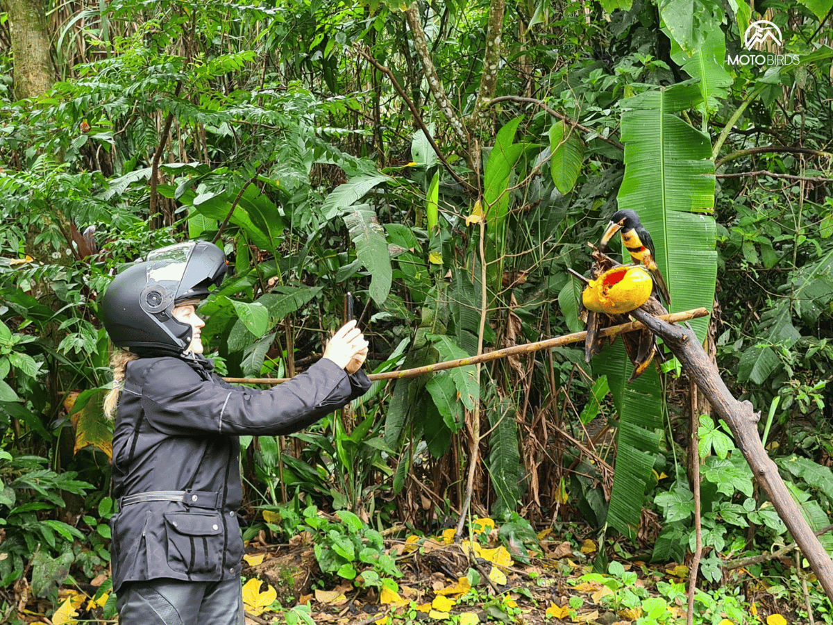 KOSTARYKA<br />
PURA VIDA - ODKRYJ SZCZĘŚCIE