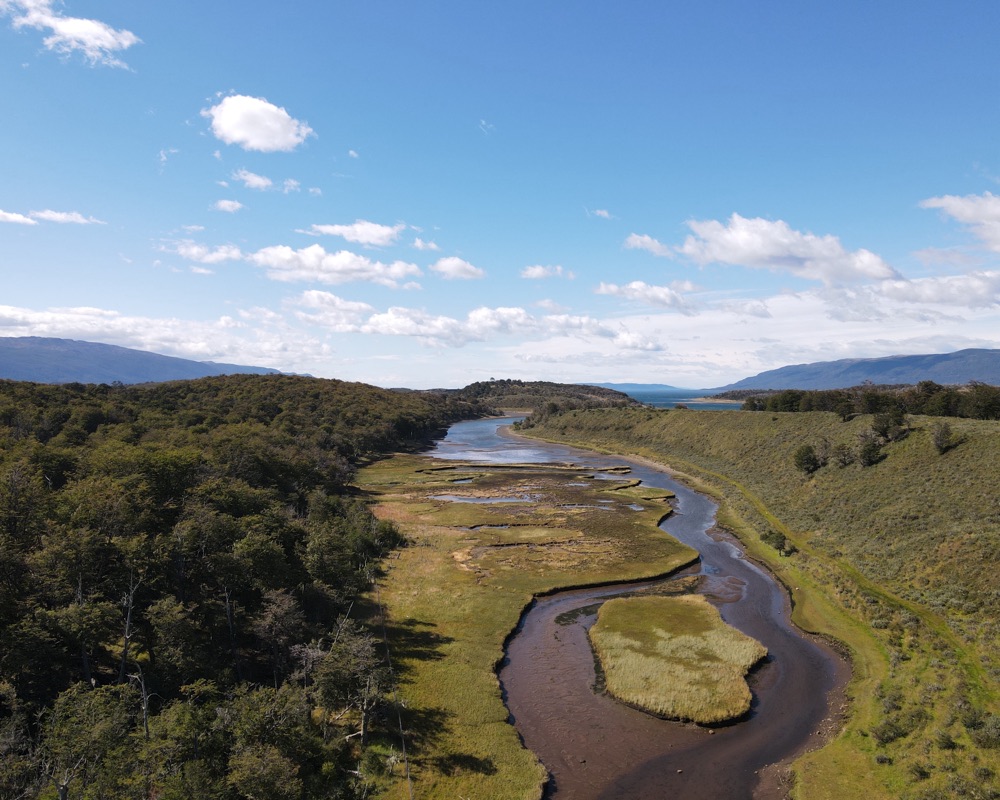 River and forest in Patagonia