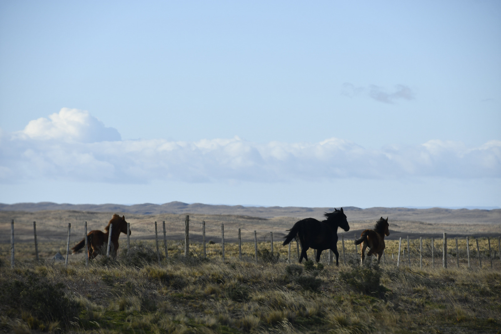 Patagonia Patagonia