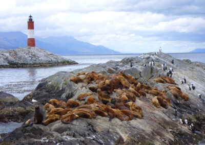 Patagonia