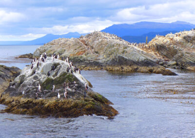 Patagonia