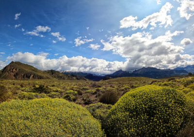Patagonia